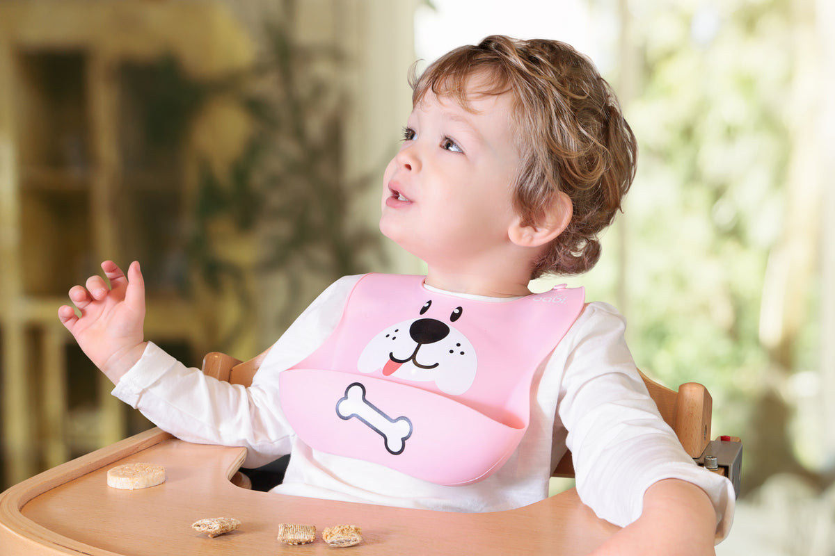 Silicone Bib Set With Pink (2 pack)